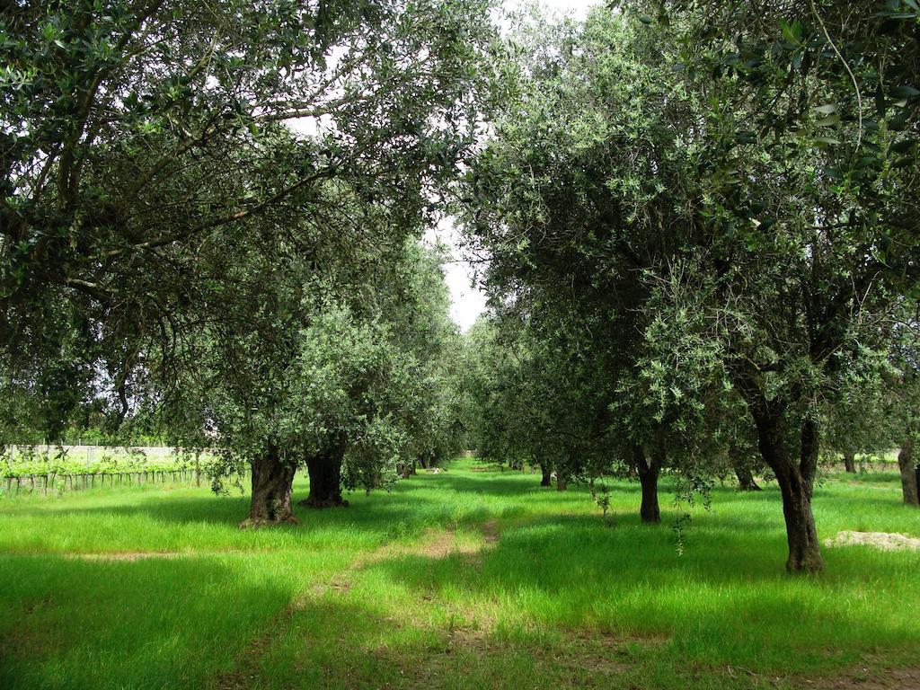 Masseria San Polo Squinzano المظهر الخارجي الصورة