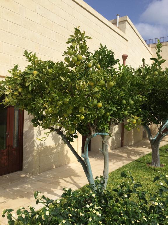 Masseria San Polo Squinzano المظهر الخارجي الصورة
